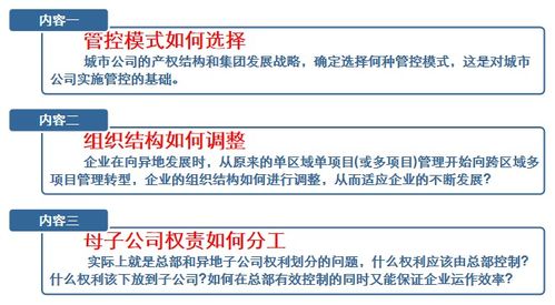 房地产企业集团管控模式在连锁管理服务中的应用与优化